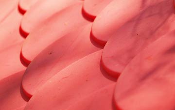 Whiteash Green plastic roof costs