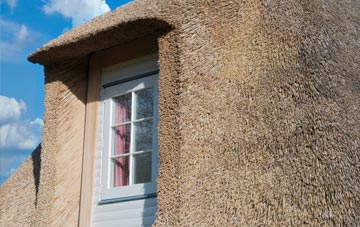 Whiteash Green thatch roof disadvantages